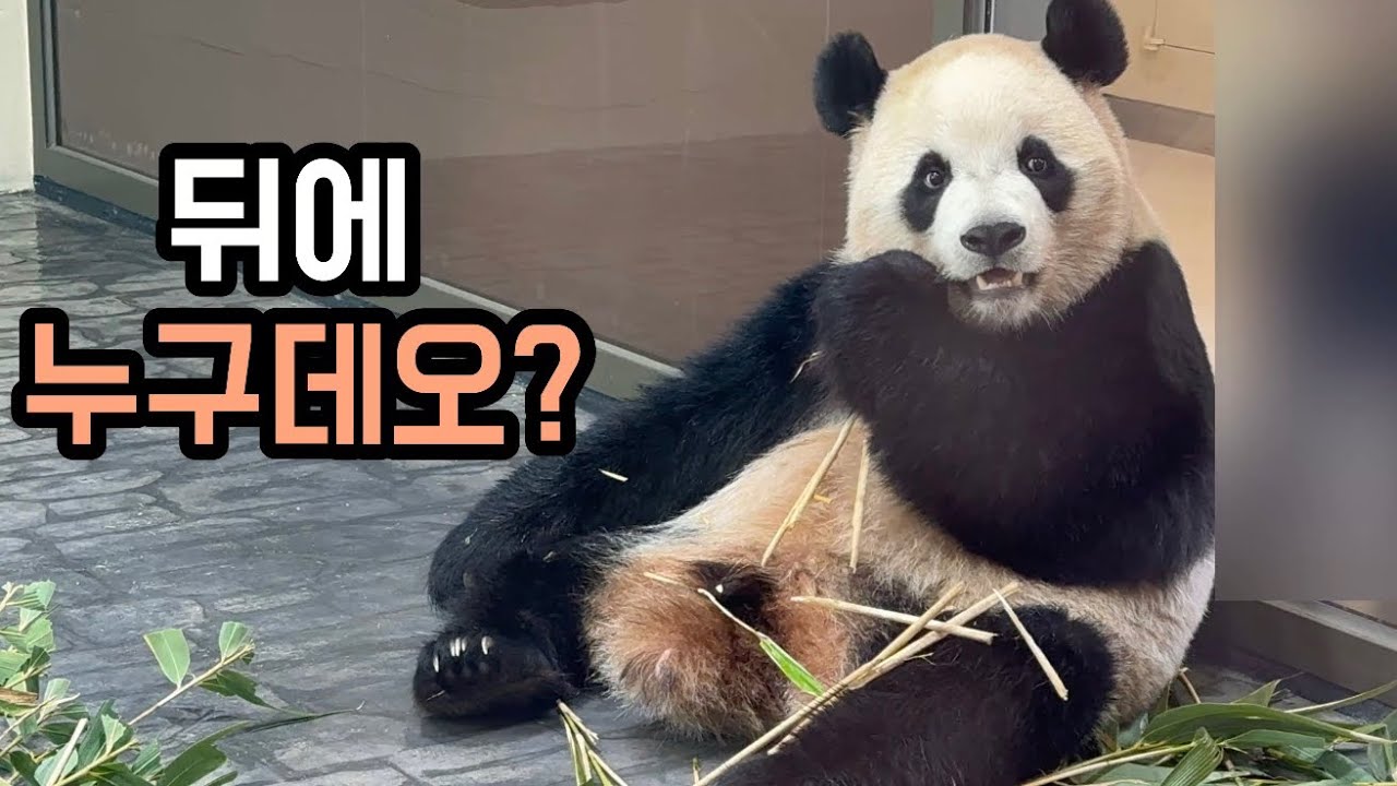 뒤에 꼬마친구 올려다 보는 루이🥰🧸