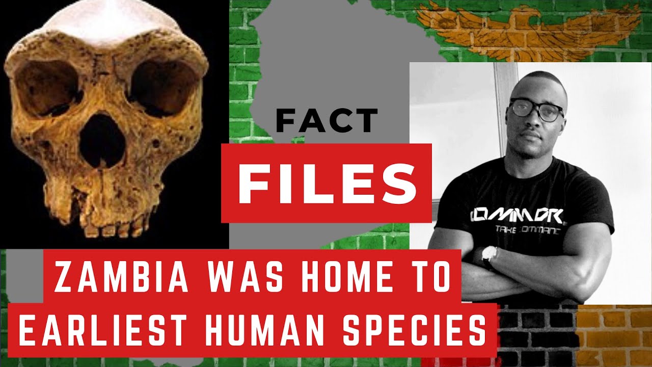 FF E01: Zambia Home to Earliest Human Species