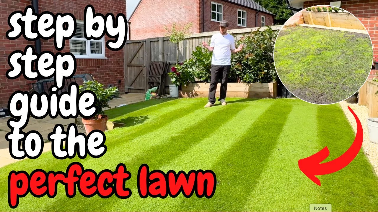 How to get the PERFECT LAWN - Step by Step Guide