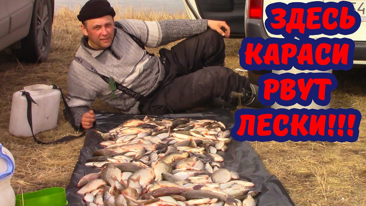 ЭТО БРАТСКОЕ РЕБЯТКИ! РЫБА ЗДЕСЬ НЕ ШУТИТ! КАРАСИ И МОРСКАЯ СОРОГА!