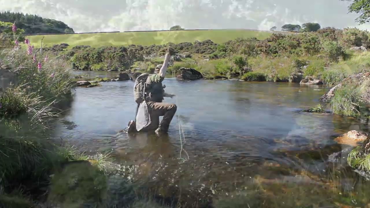 Fly Fishing for wild brown trout on the pristine East & West Dart on Dartmoor, Devon