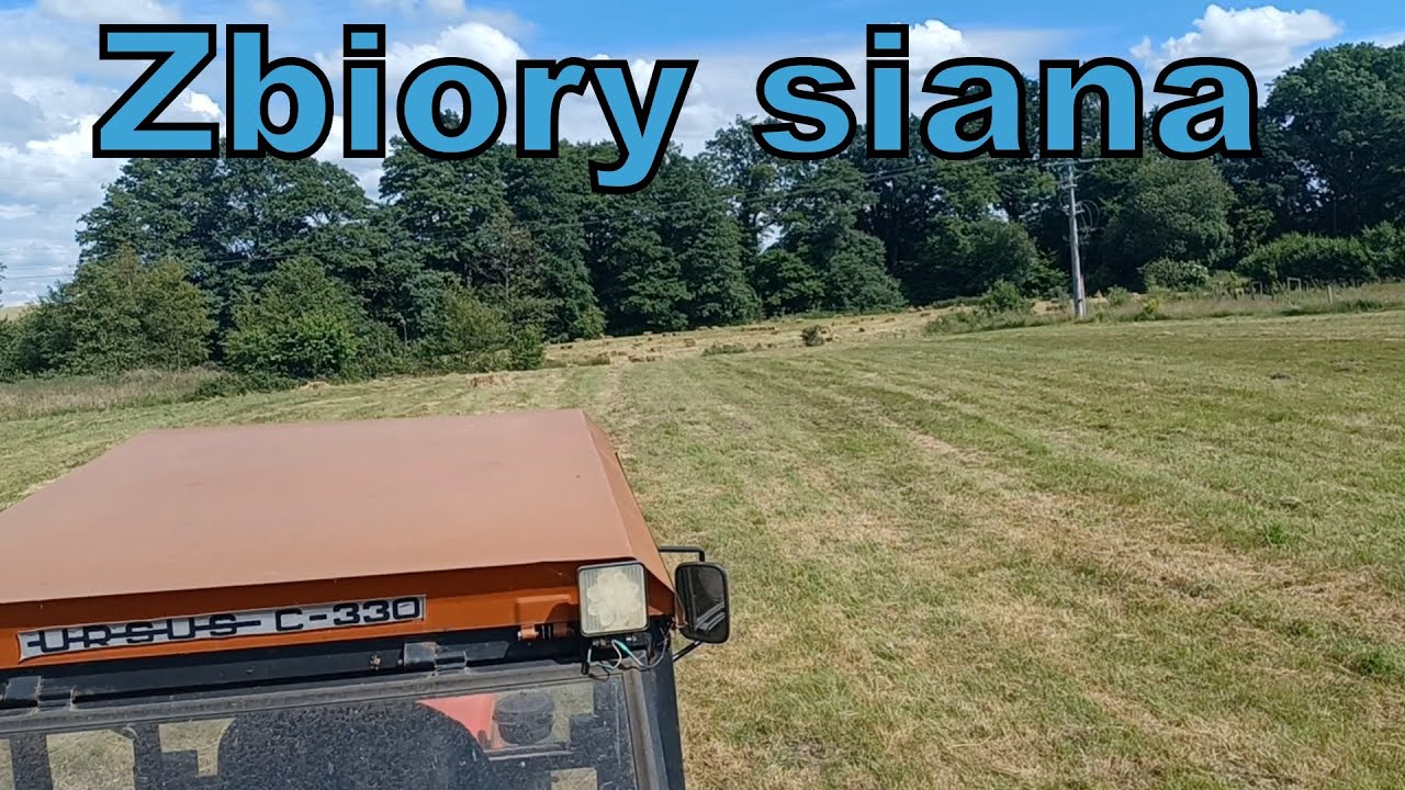 Zbieramy siano dla królików