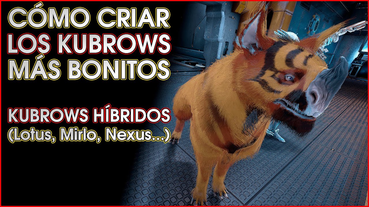 🐾 Cómo CRIAR KUBROWS BONITOS (Como el famoso BULKY LOTUS OMEGA) Warframe