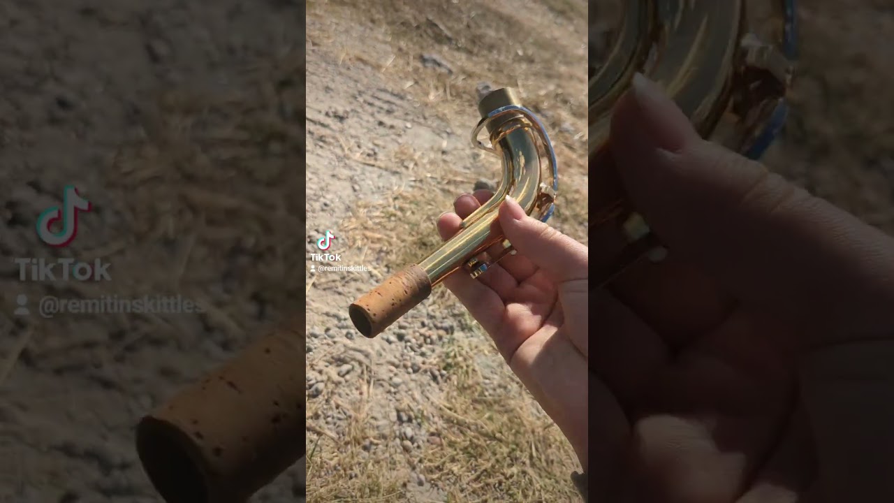 How to set up an alto Saxophone. I'm a beginner so please don't judge