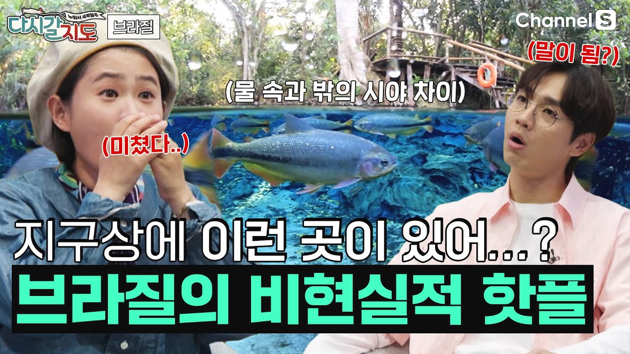 지구상에 이런 곳이 있다고..?🌎 비현실적인 브라질의 물놀이 핫한 스폿들 대공개! 천연 아쿠아리움 물 속 직접 보고수영도 하고 옴🤿ㅣ80회ㅣ#다시갈지도