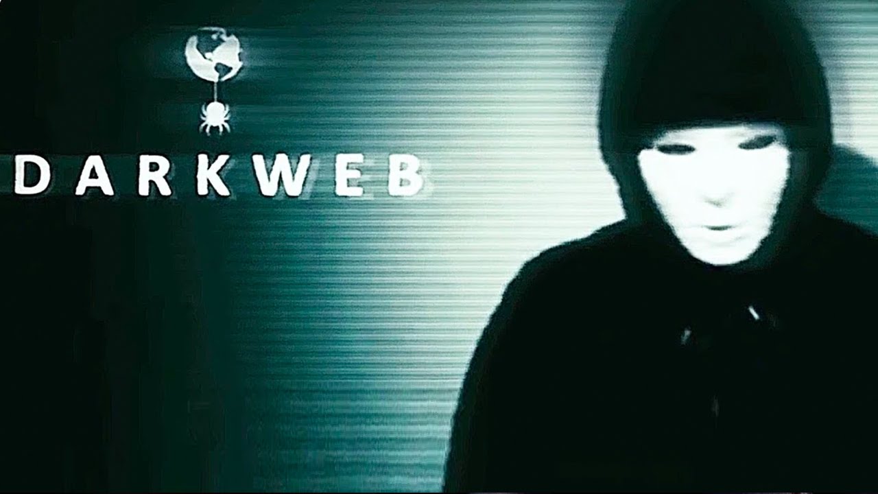 A Young Student Journey into Cybercrime and Identity Theft