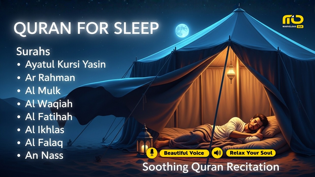 Best Quran For Sleep And Your All Problems Solve | By Alaa Aqel