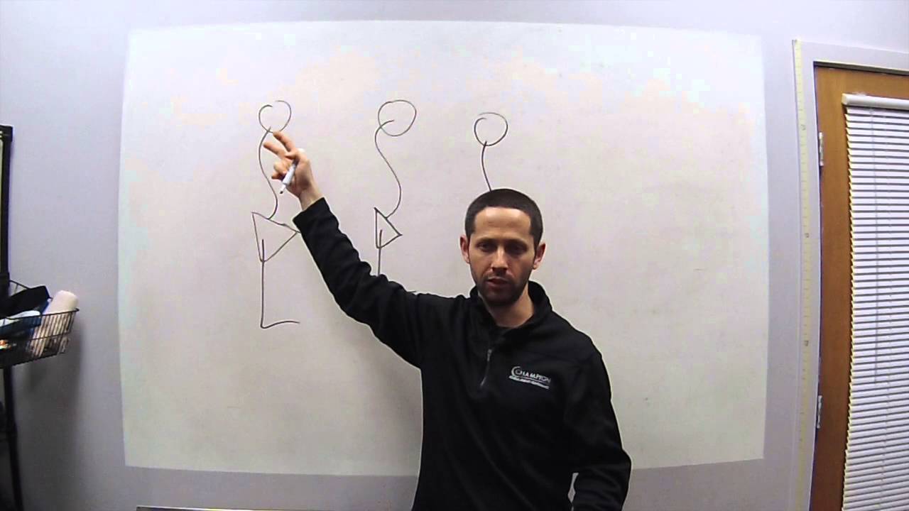How the Pelvis Influences the Spine and Hamstring Length