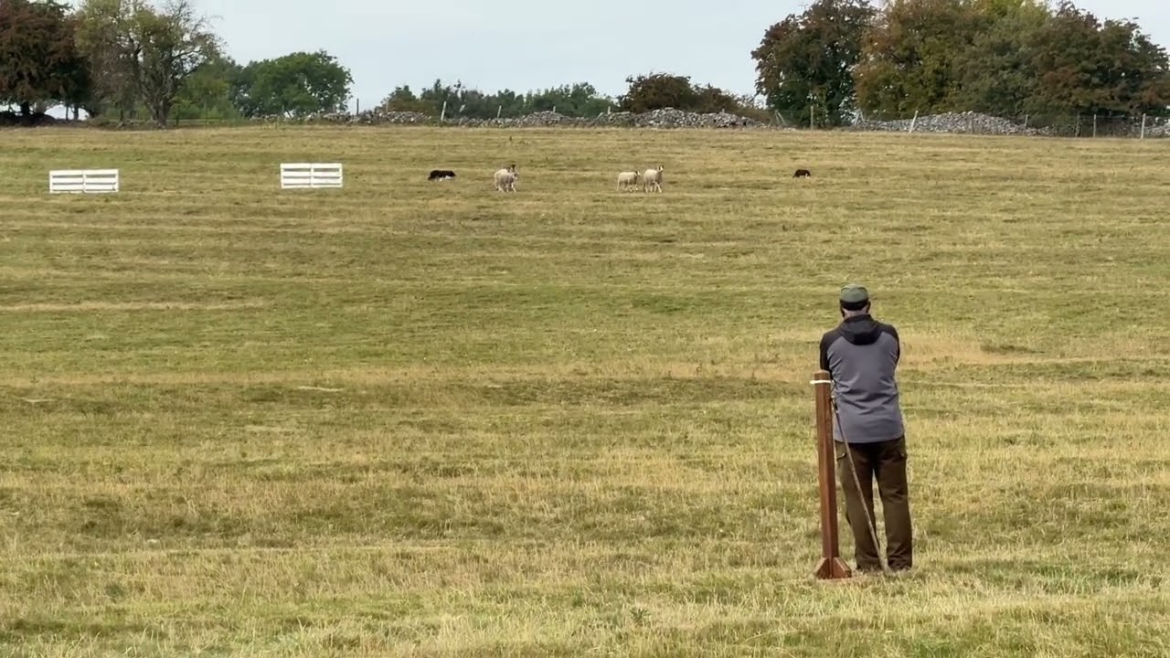 Nij Vyas Dovedale Brace 2025