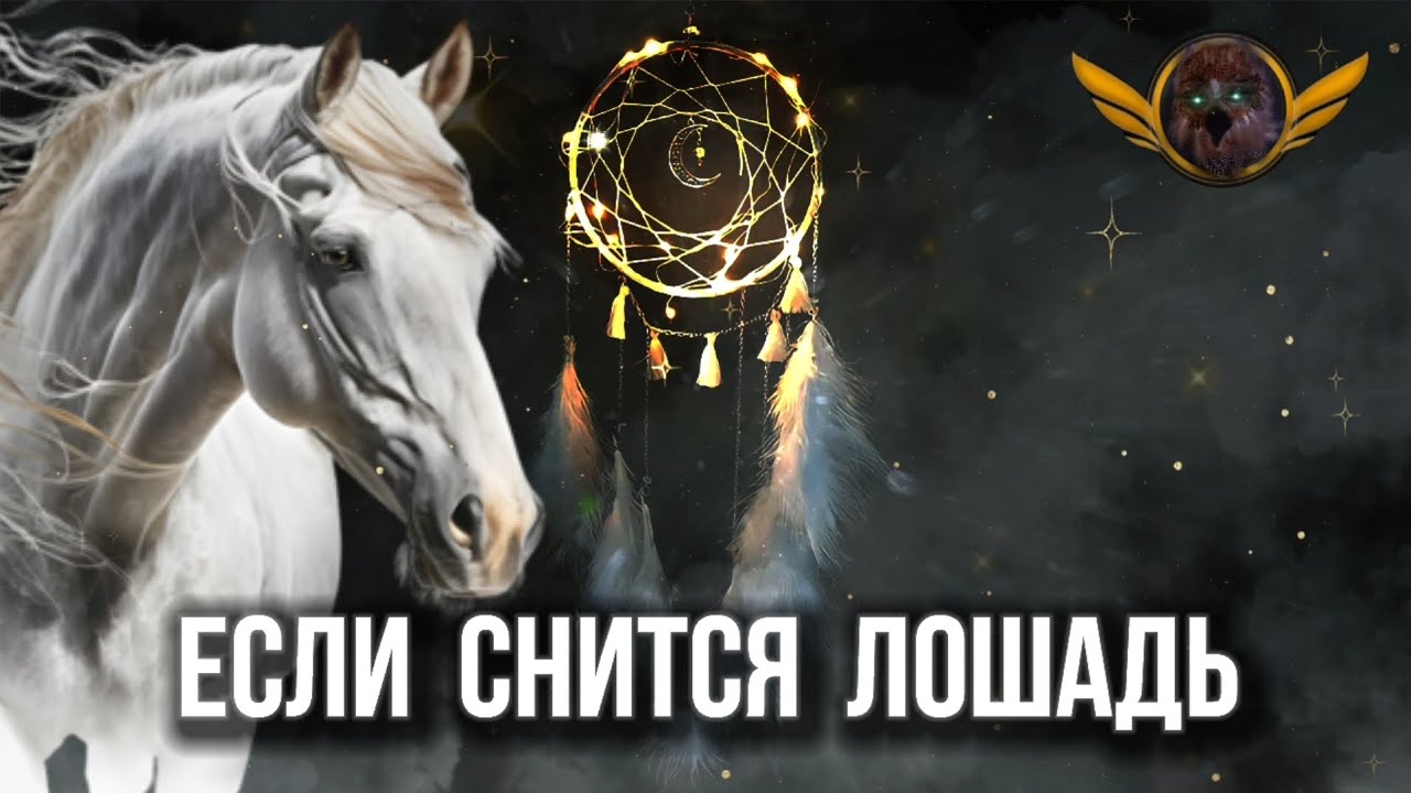 Лошадь во сне: к чему это снится? Толкование сна @OrwinSolus