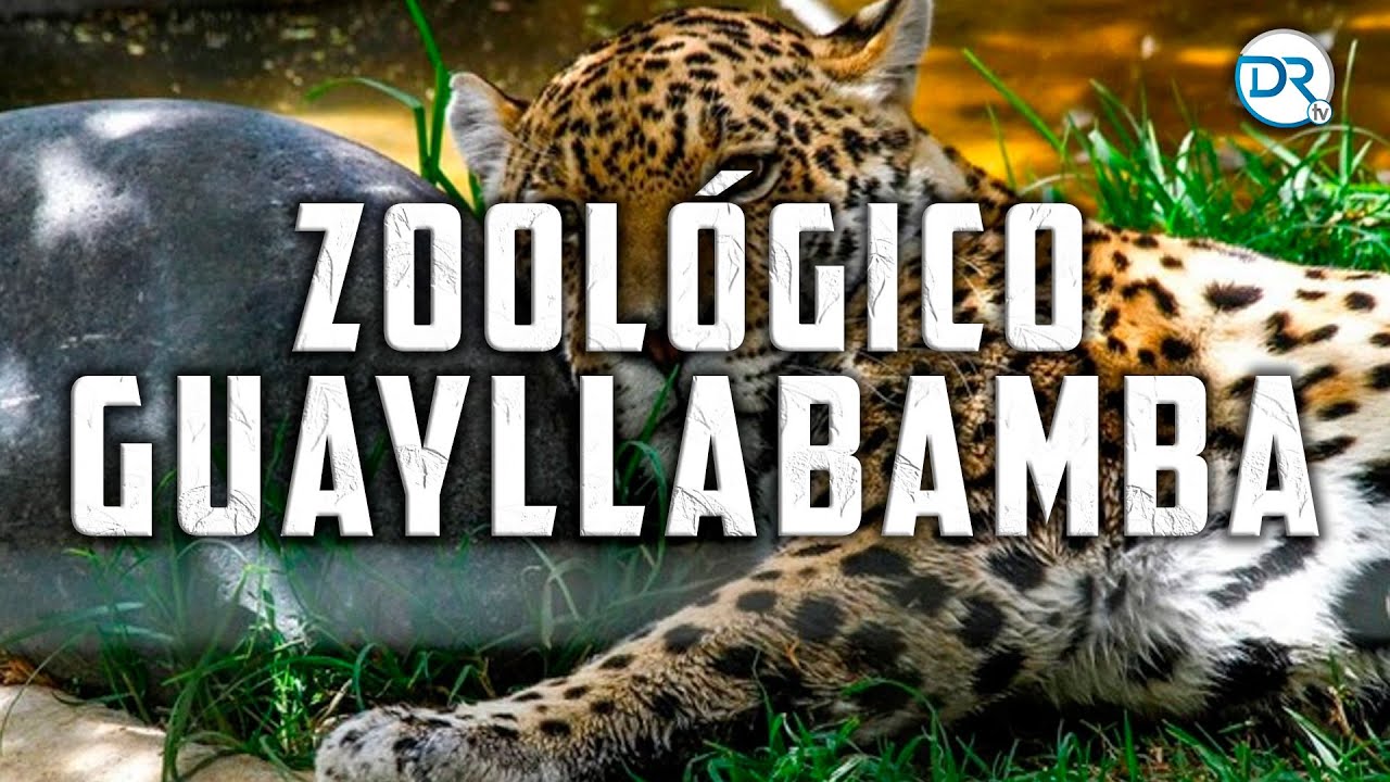 Visitamos el Zoológico de Guayllabamba - DrTv RTU