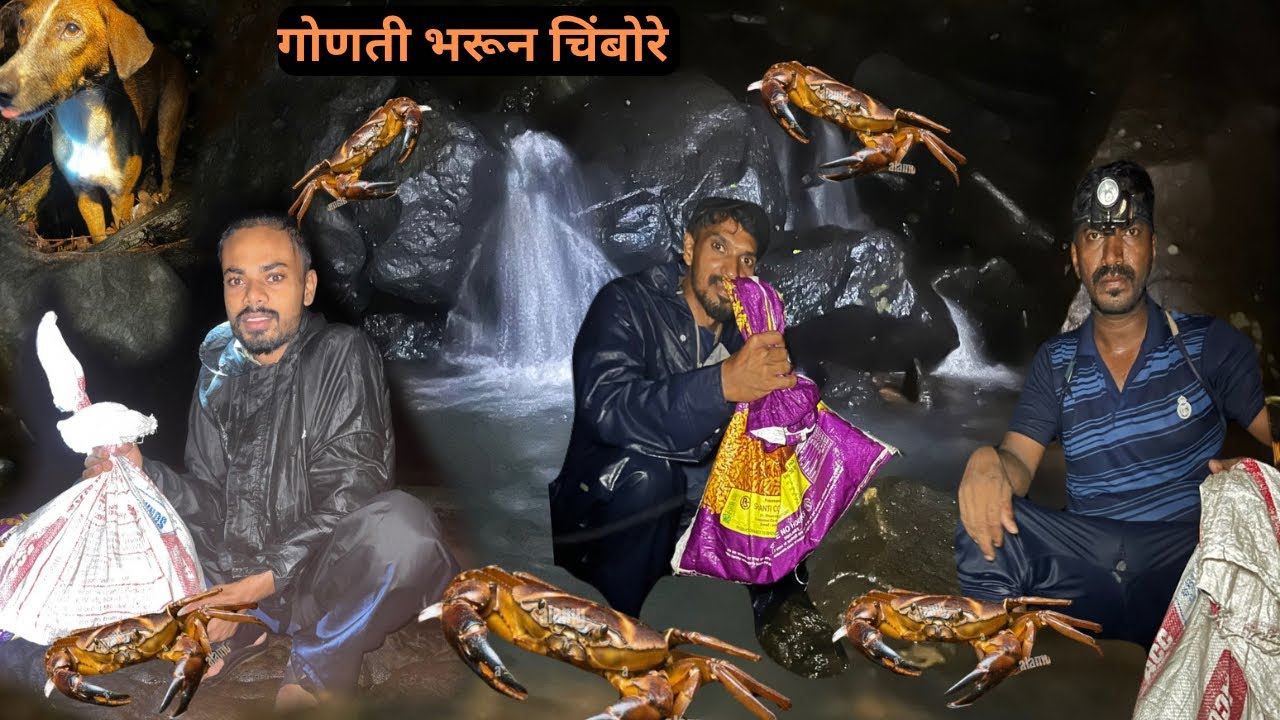 गावापासून लांबच्या नदीला बापरे एवढे खेकडे 😳🦀|Crab catching