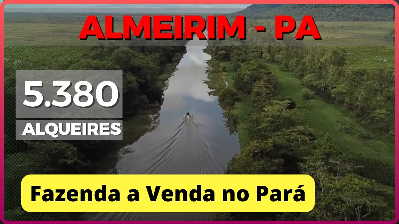 5.380 ALQ EM ALMEIRIM - FAZENDA A VENDA NO PARÁ [🌱DUPLA APTIDÃO🐄] Zap 62.99972-2000 #agro