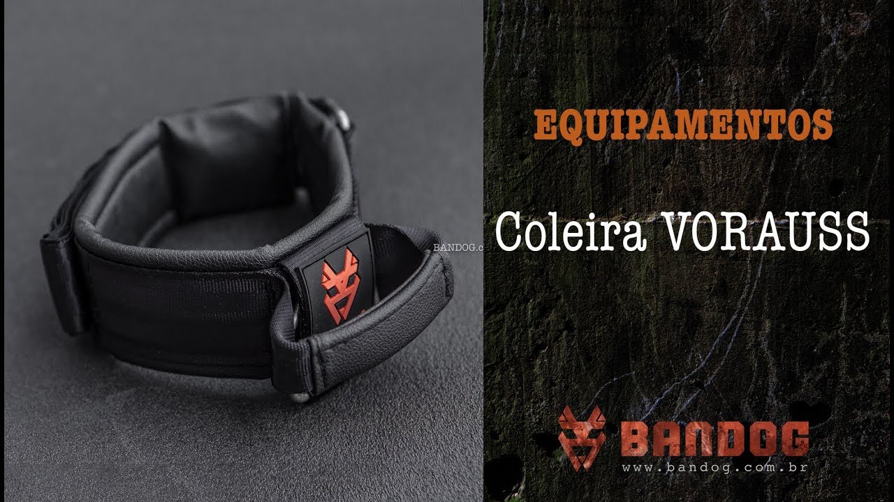 Coleira VORAUSS BANDOG - Para cães fortes