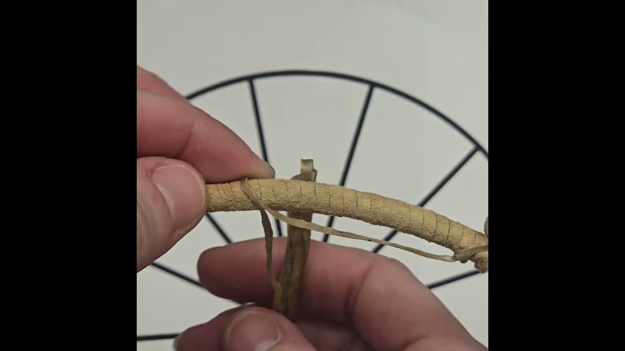 Starting your Webbing