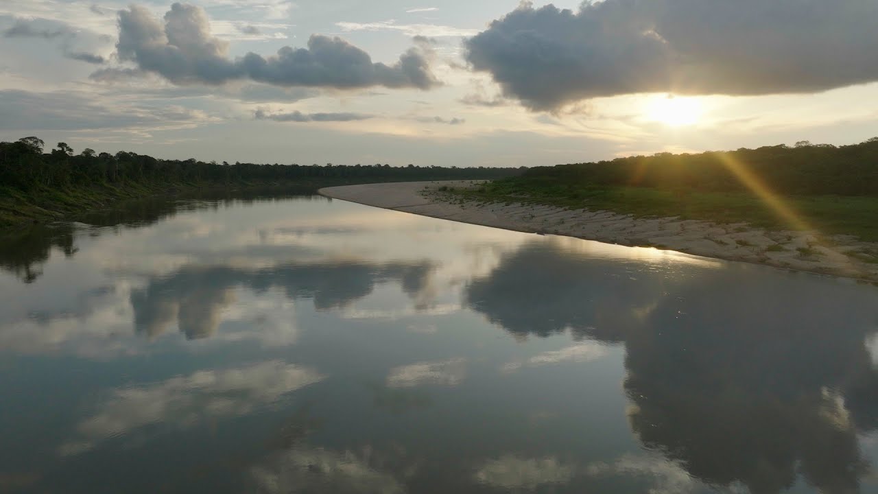 Rolex Perpetual Planet Initiative – Expedition Amazon: Along the Juruá River