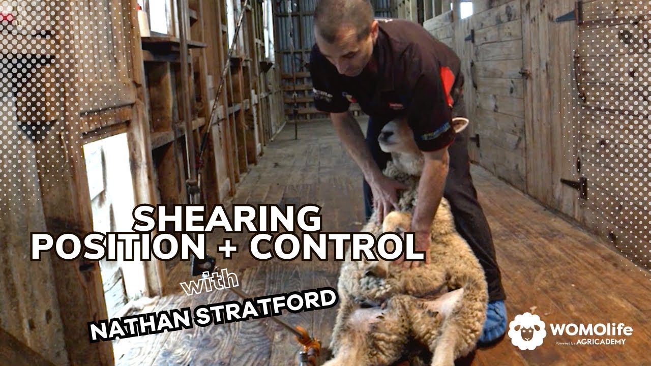 SHEARING - POSITION + CONTROL