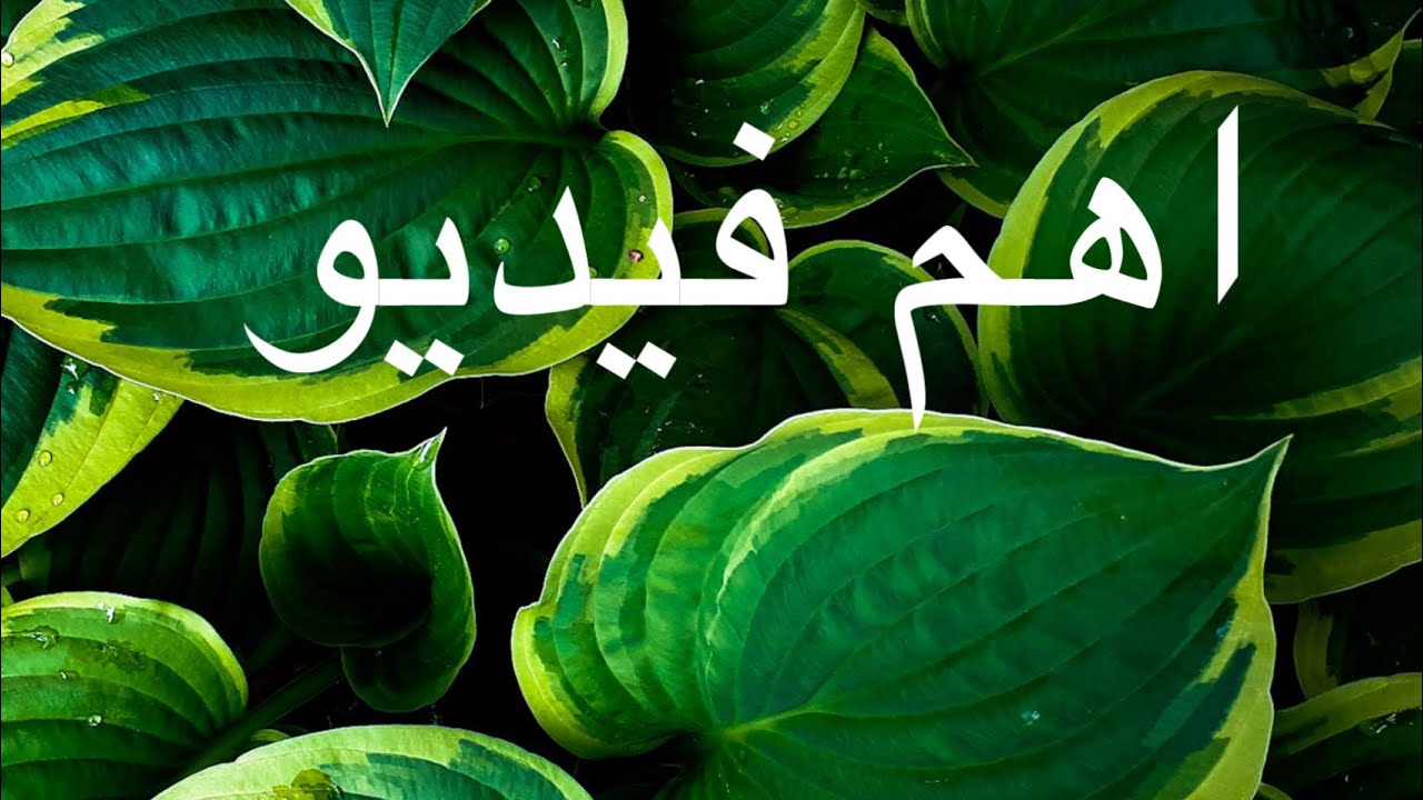 ٥ كانون الأول، ٢٠٢٥