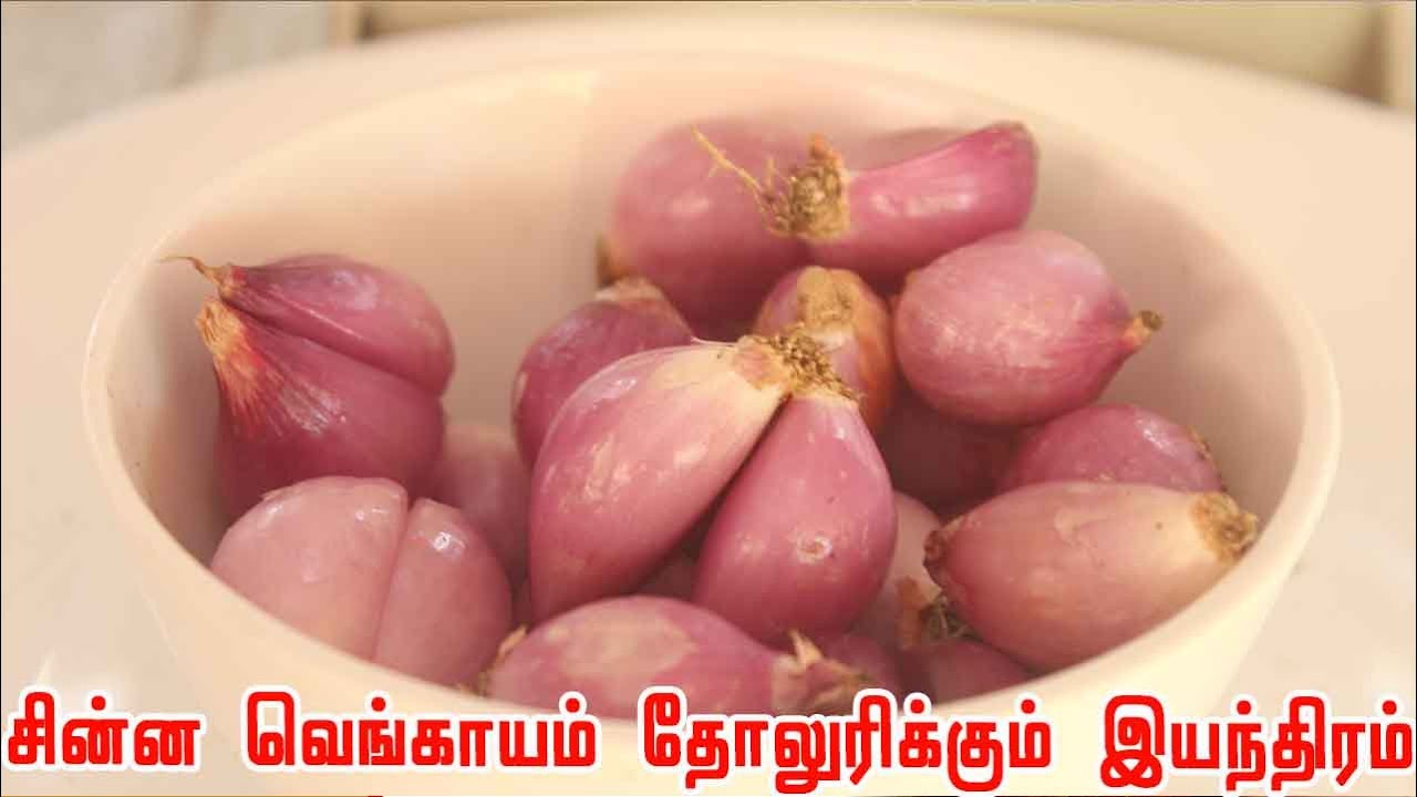 சின்ன வெங்காயம் தோலுரிக்கும் இயந்திரம் Automatic Onion Peeling machine | onion stem cutting machine
