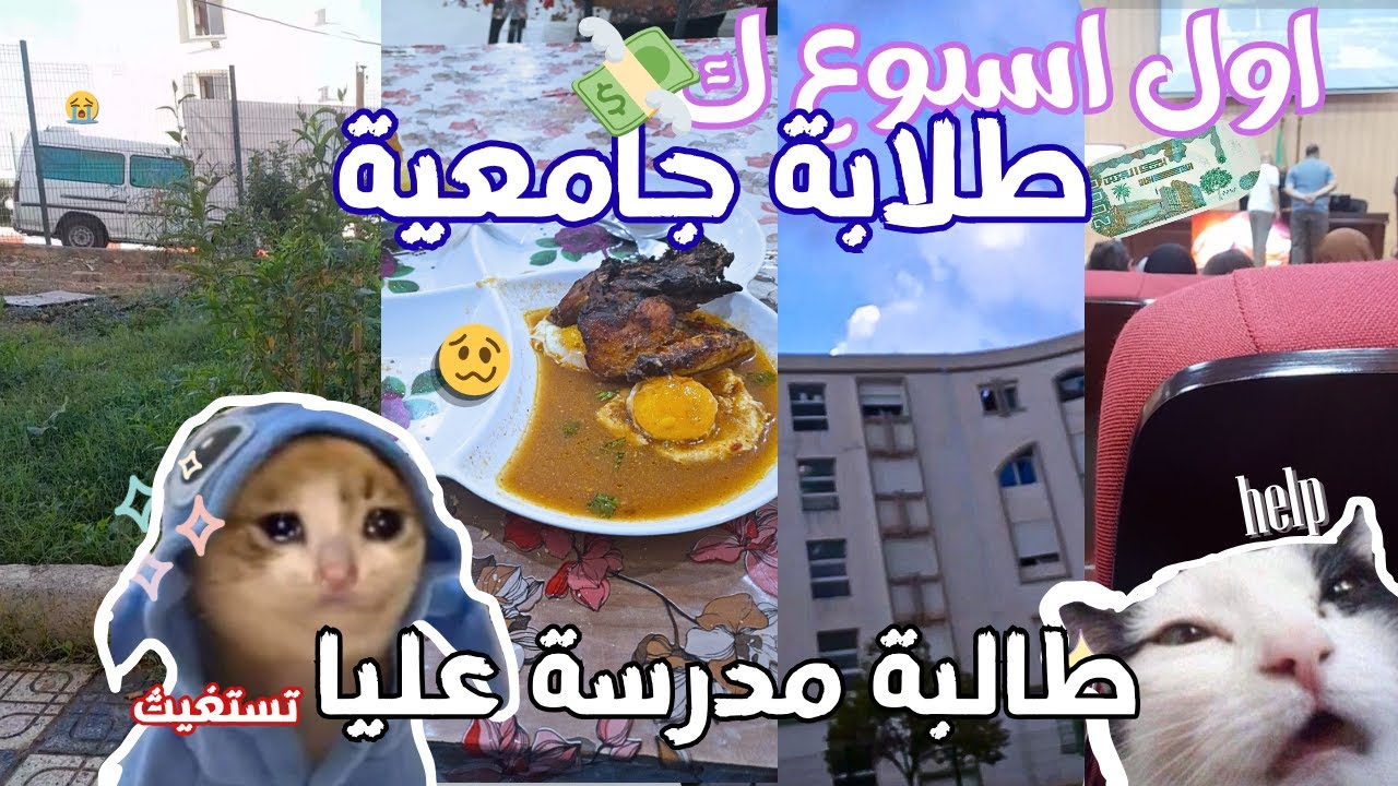 vlogvlog طلابة جامعية تكافح من اجل العيش😔😹