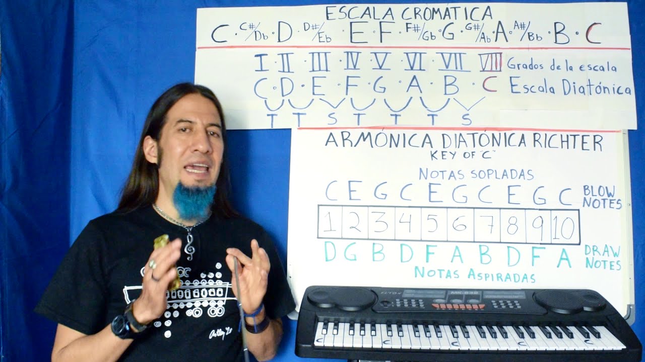 11B) TEORÍA MUSICAL 2a PARTE: CÓMO ESTÁN DISTRIBUIDAS LAS NOTAS EN LA ARMÓNICA | | Aprende armónica