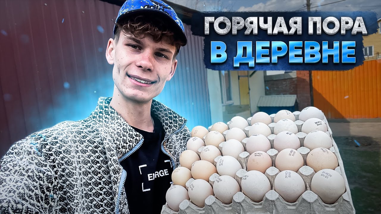 Вся Правда ! Главный работник на нашей Ферме 👨‍🌾 Бройлеры,Крольчата,Яйцо от Птиц/В гостях на Радио