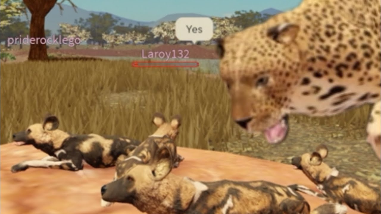 A wild life - life as a wild dog (Roblox Savannah life)