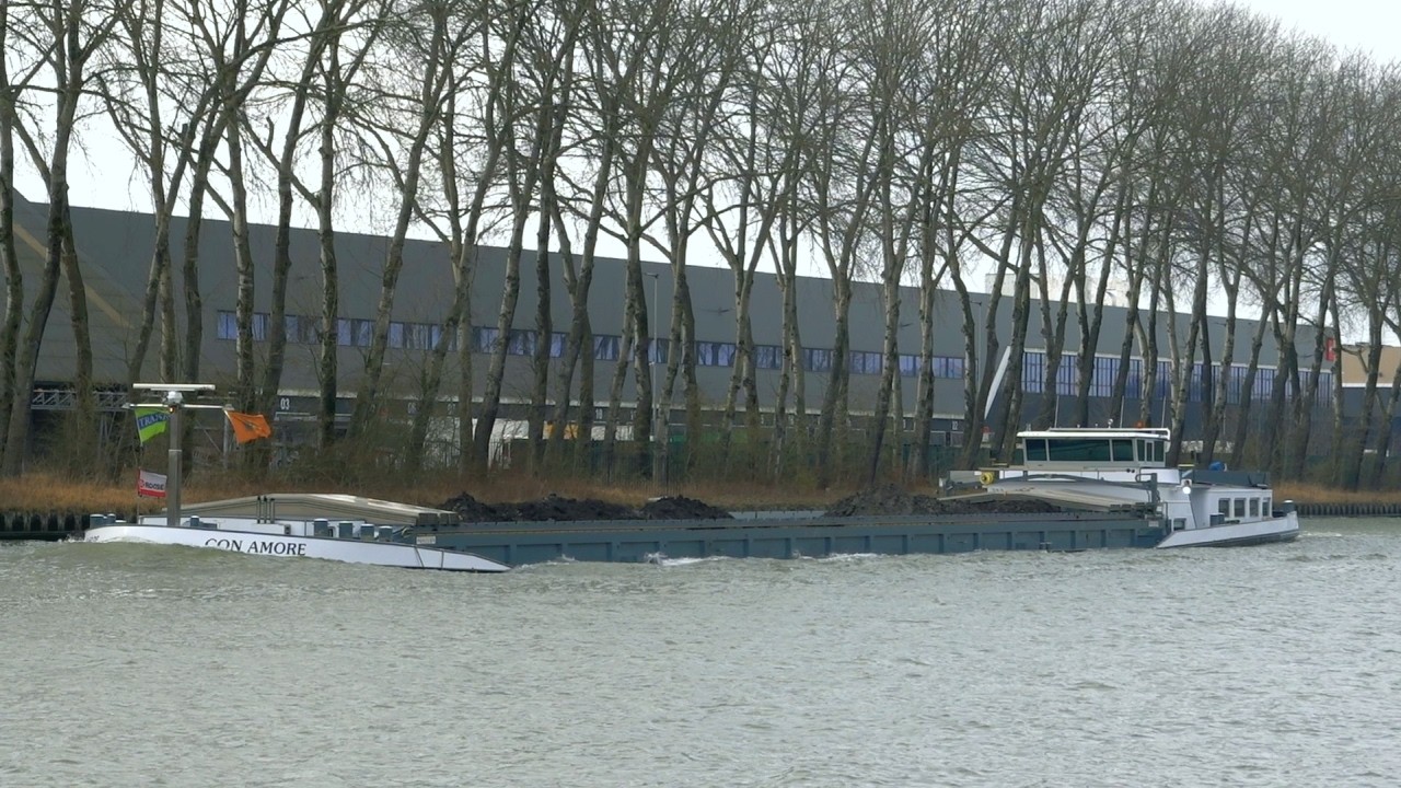 ⚓️'CON AMORE' vrachtschip uit Werkendam (NL), 02322010, gespot 02 02 2026