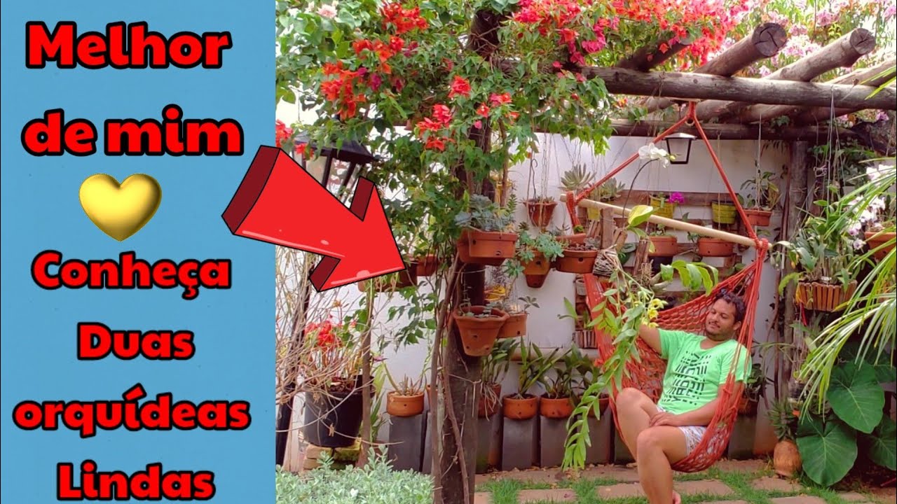 CATASETUM SPITZII E BOYII || MAIS CONQUISTA DE UM SONHO