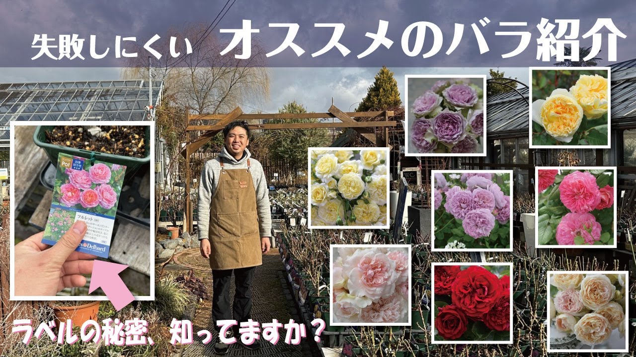2025年オススメの品種紹介します！