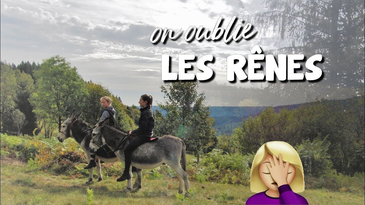 BALADE EN ÂNES XXL 🔥 IMMERSION TOTALE