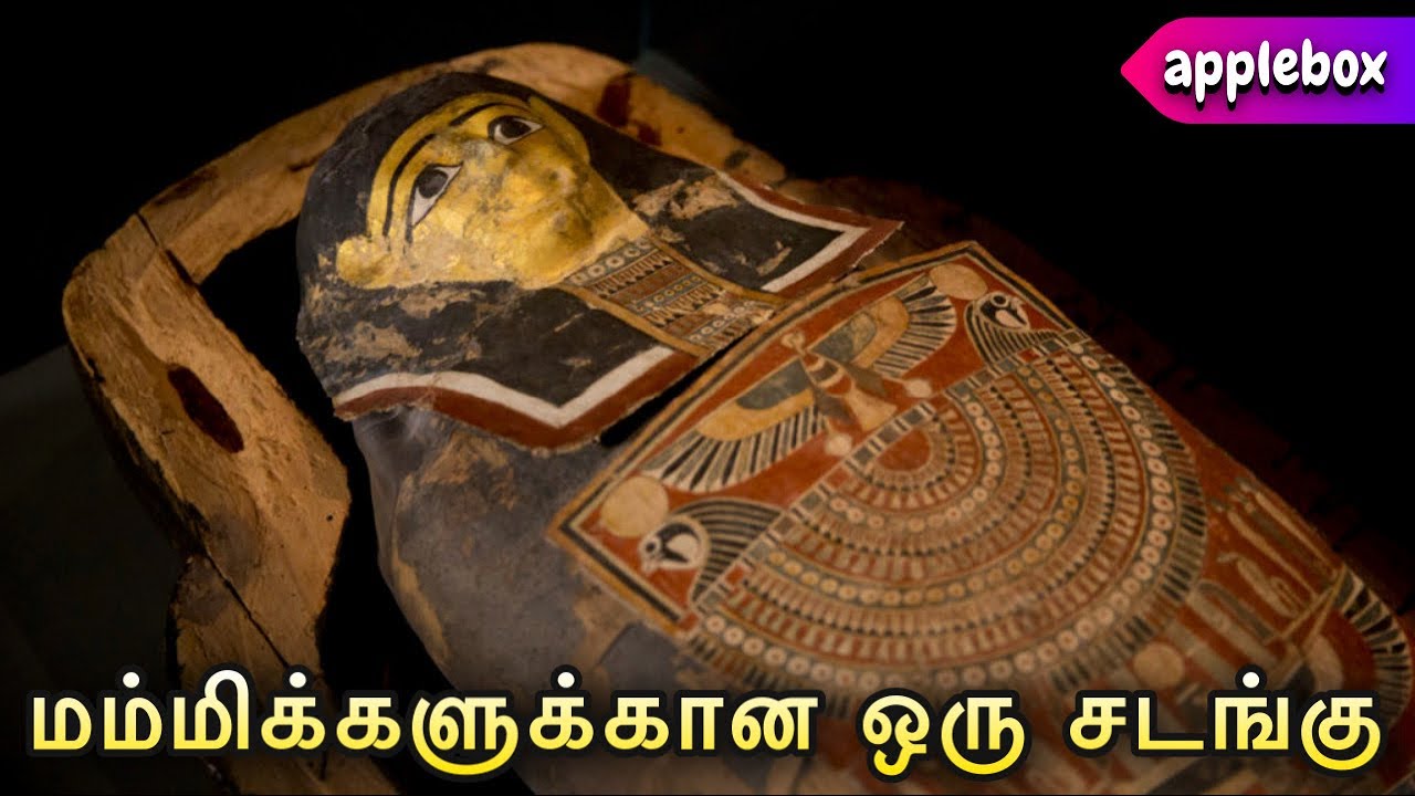 மம்மிக்களை அடக்கம் செய்யும் முறை | Historical Stories in Tamil | APPLEBOX Sabaril