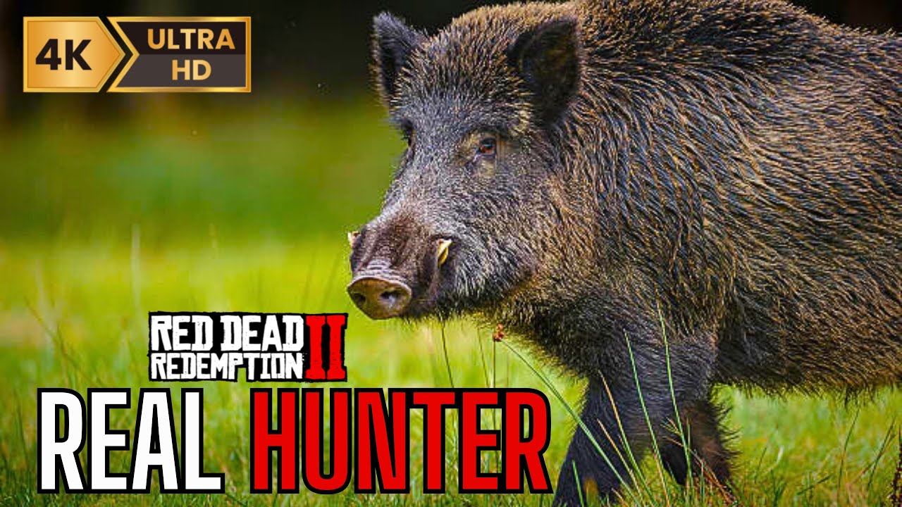 REAL HUNTER™ | 𝑅𝑒𝓁𝒶𝓍𝒾𝓃𝑔 𝐵𝑜𝒶𝑅 𝒽𝓊𝓃𝓉: 𝑅𝑒𝒶𝓁𝒾𝓈𝓉𝒾𝒸 𝑅𝑜𝒶𝓁𝓉𝓎 𝒾𝓃 𝑅𝒹𝑅2 [4K]
