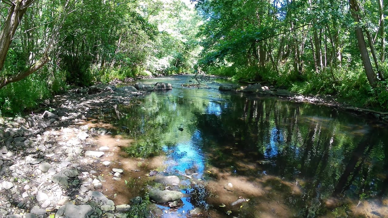 Fly Fishing UK - Alyn River 2022