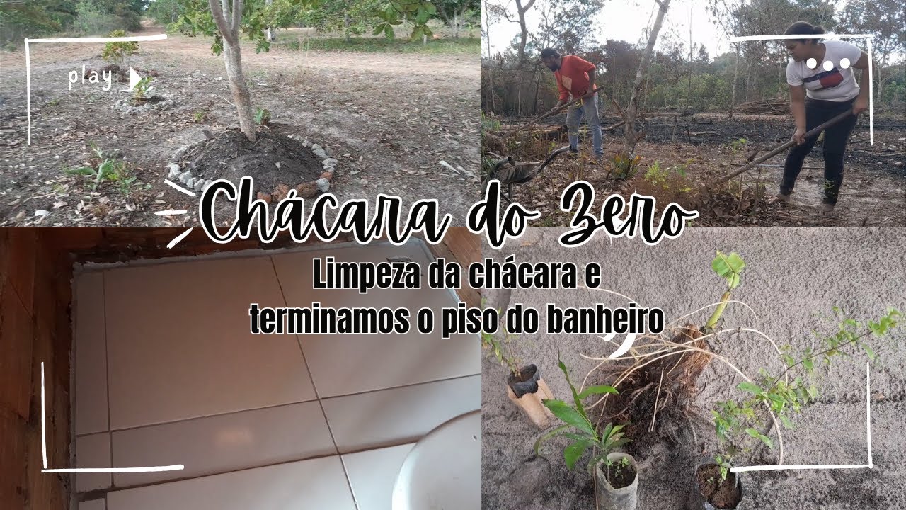 Plantamos algumas frutíreas e o piso do banheiro está pronto(chácara do zero)