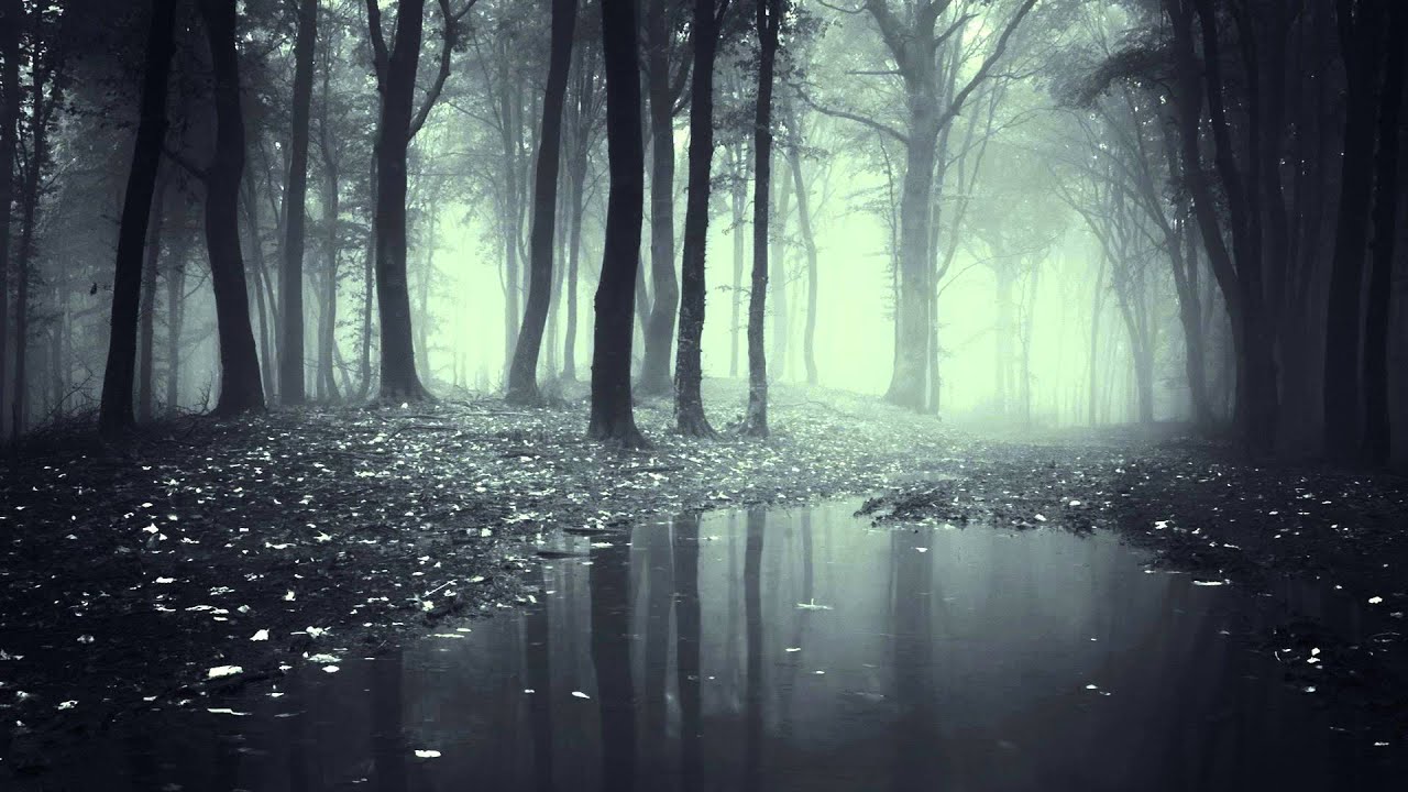 Arkwright - Bait [Free Download]