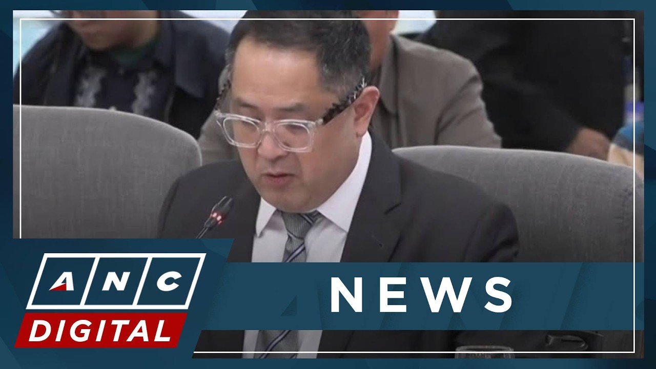 Rep. Suntay's inappropriate remark on Anne Curtis stricken from House panel's record | ANC