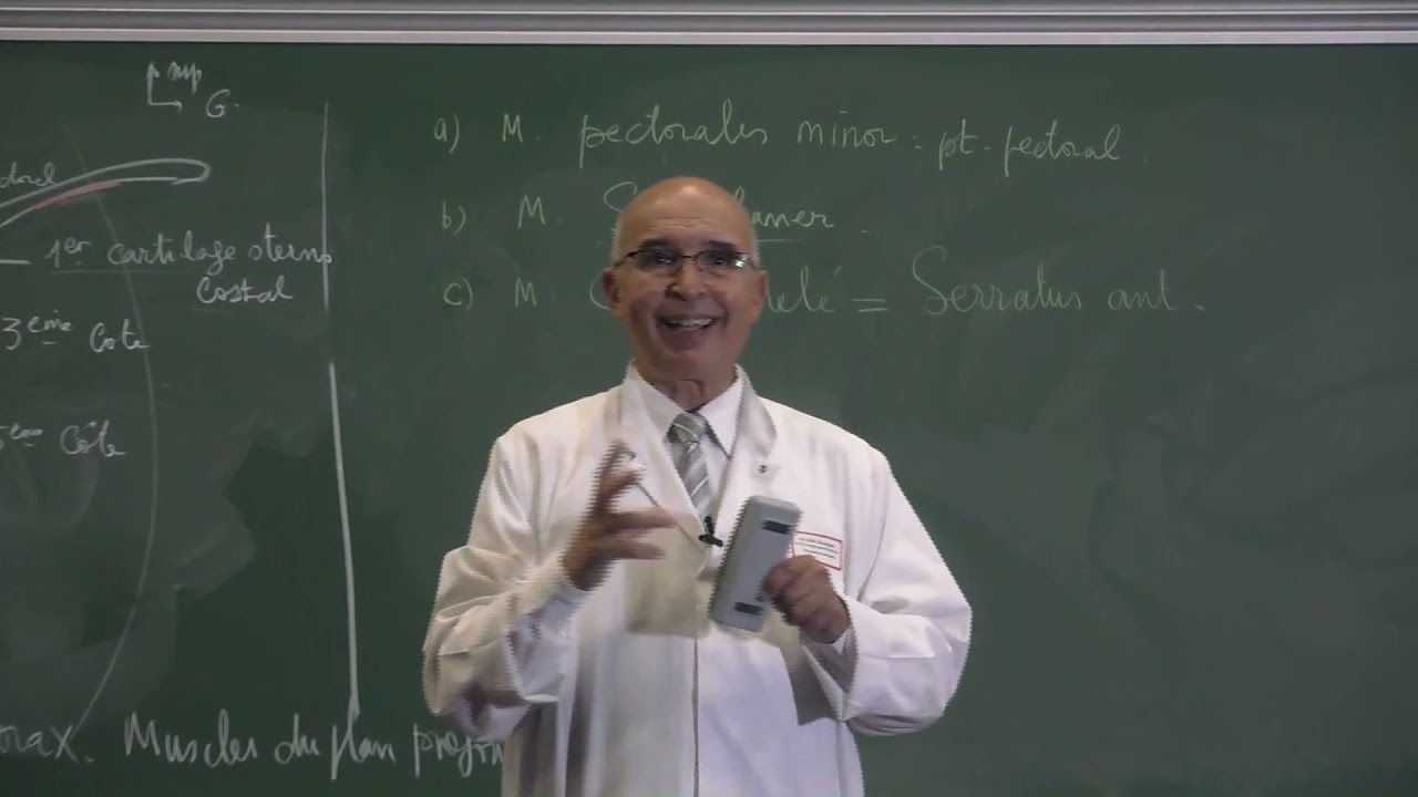 COURS ANATOMIE 2: Les Muscles du Thorax Partie 1