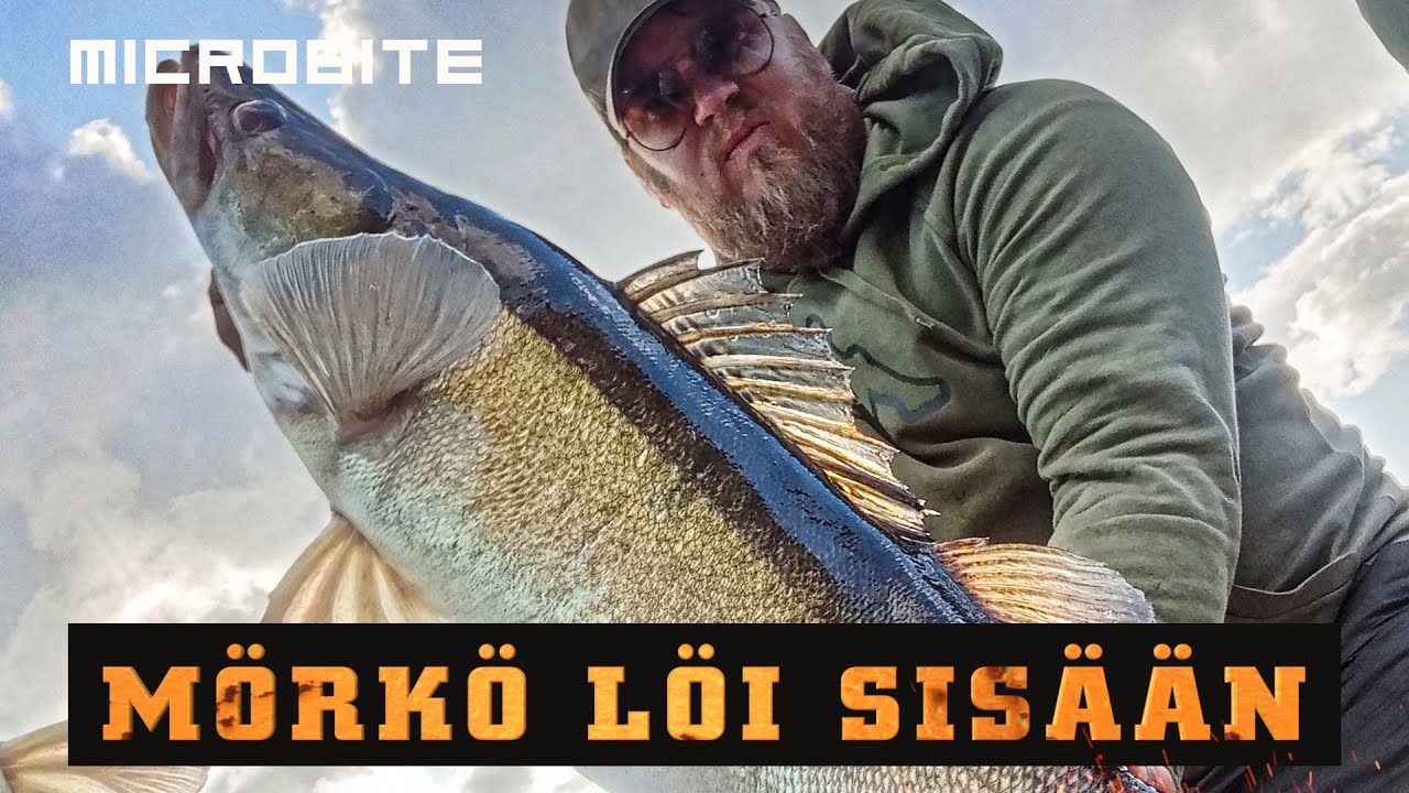 Huh mikä kuha osu Microbitelle / Nyt oli tuuriakin mukana