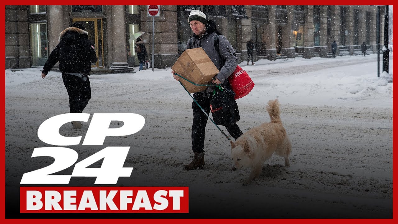 Tips for dog owners as 'really cold' temperatures chill the GTA