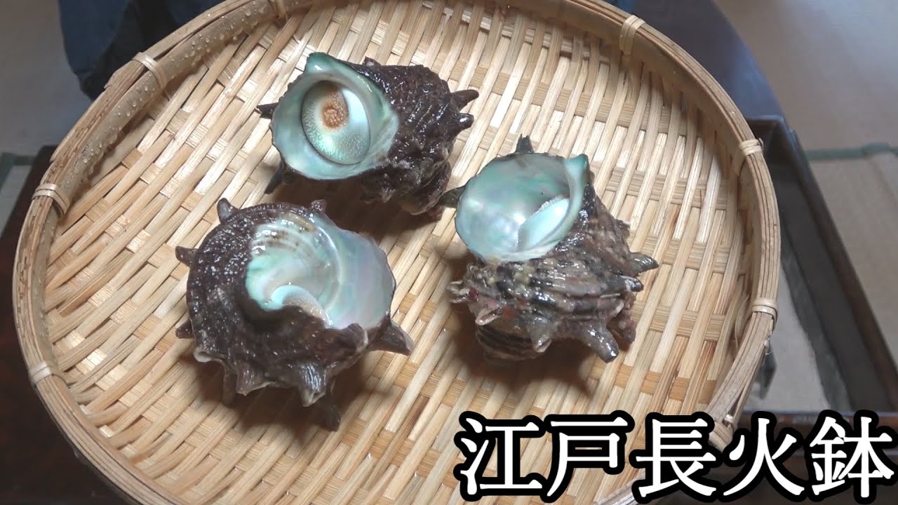 サザエつぼ焼き-Grilled Turban Shell-【Japanese food 江戸長火鉢】