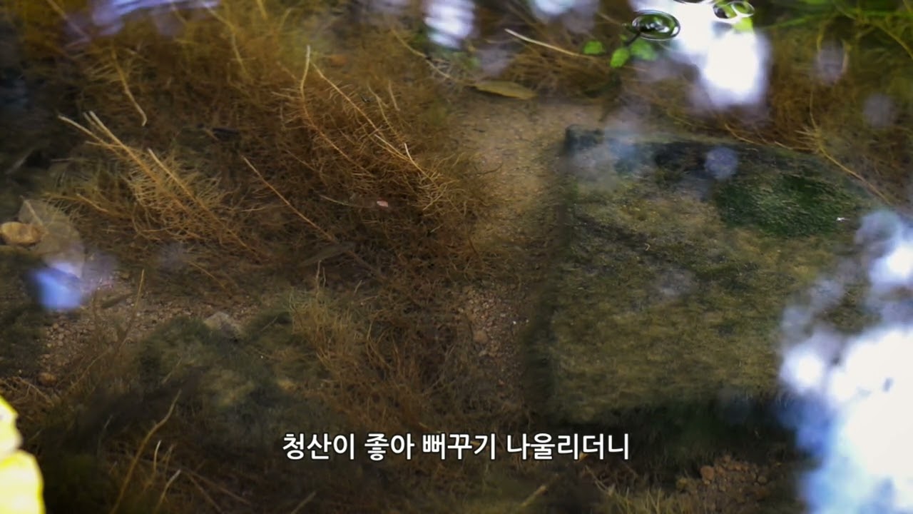 버들치, 그리운 박옥위 작시 이재석 작곡  테너 정준영 피아노 박노훈