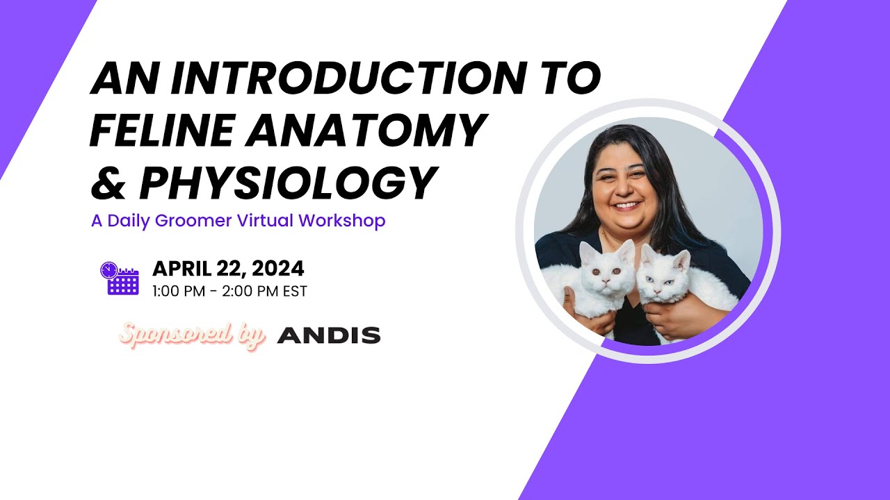 An Introduction to Feline Anatomy and Physiology