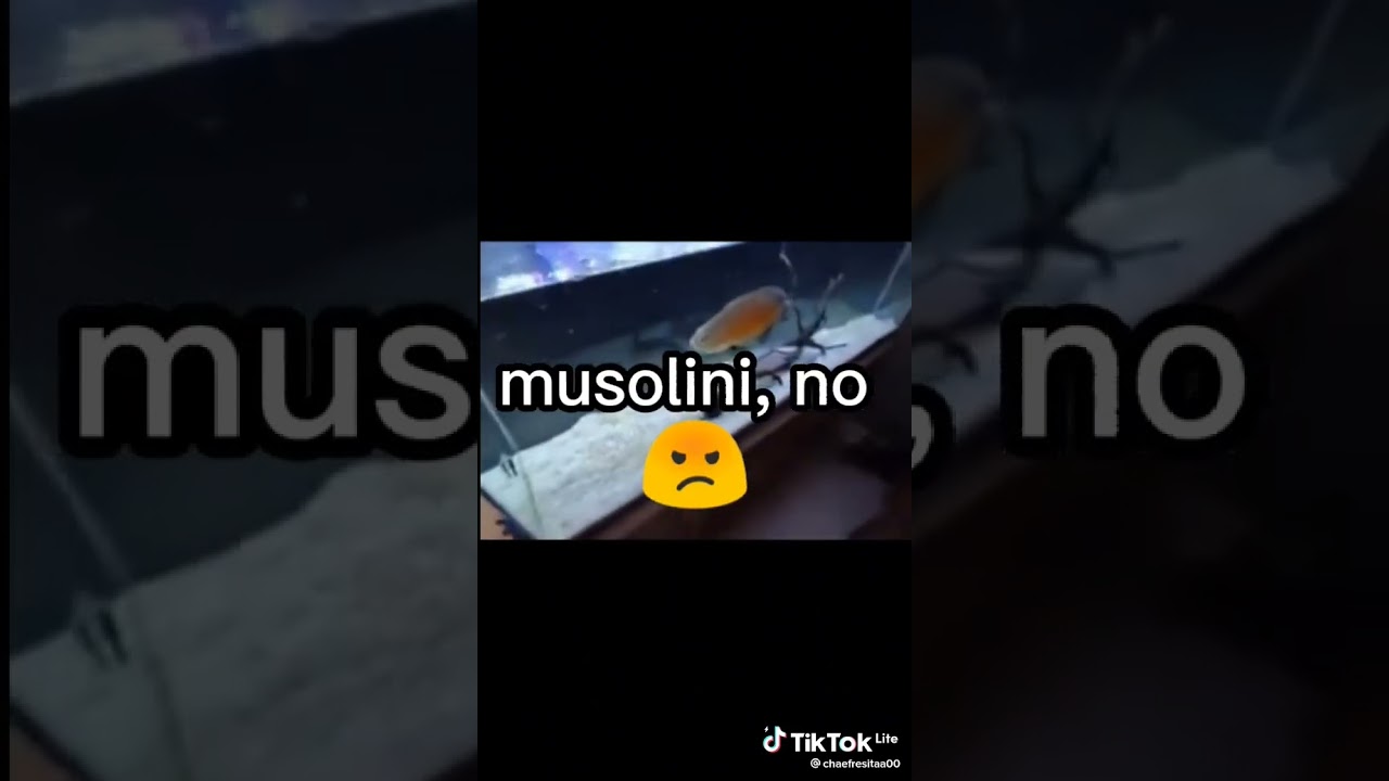 Mussolini no hagas eso 😂