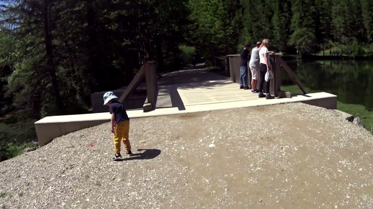 Дорога до Grüner See (Tragöss, Steiermark, Österreich)