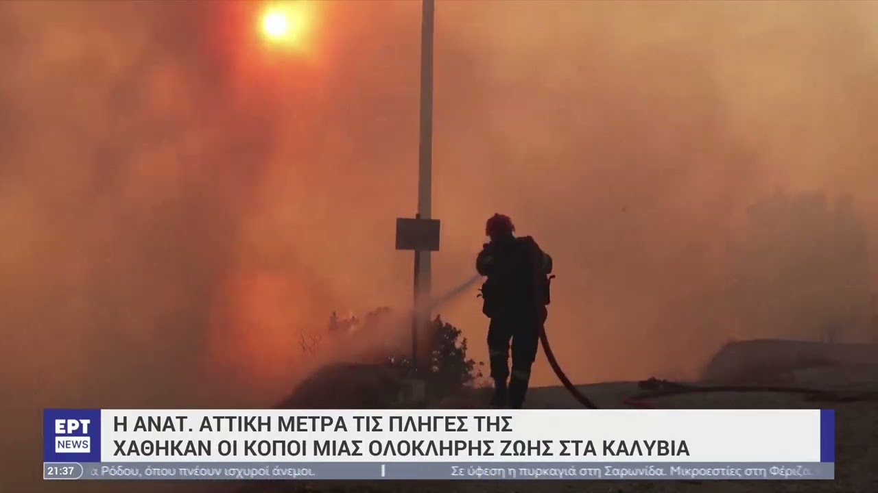Αποκαρδιωτική η εικόνα της επόμενης μέρας στην Ανατολική Αττική | 18/07/2023 | EΡΤ