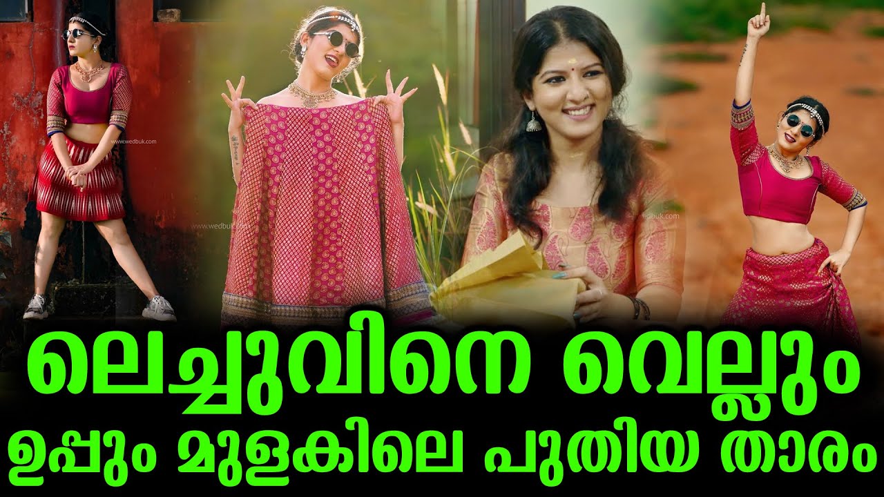 ലെച്ചുവിനെ വെല്ലും ഉപ്പും മുളകിലെ പുതിയ താരം