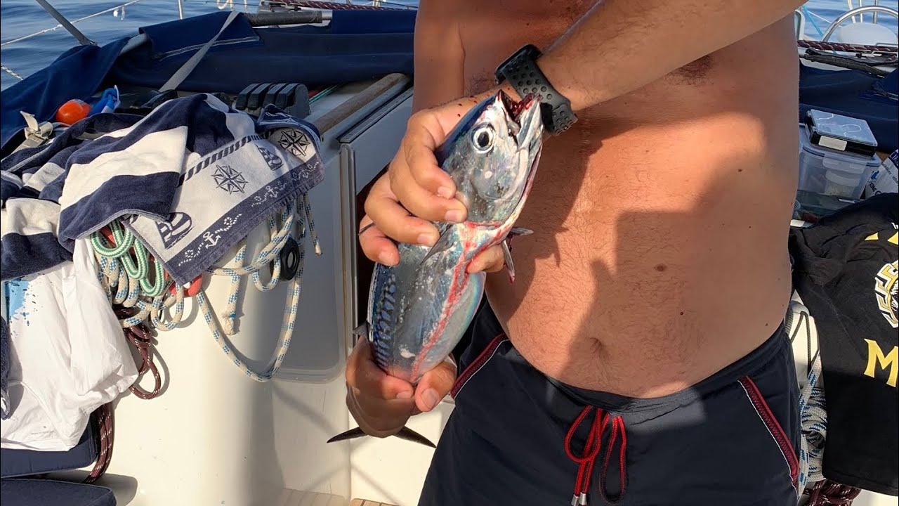 Bodrum Yelkenli Turu / balık avı rekorunu kırdık