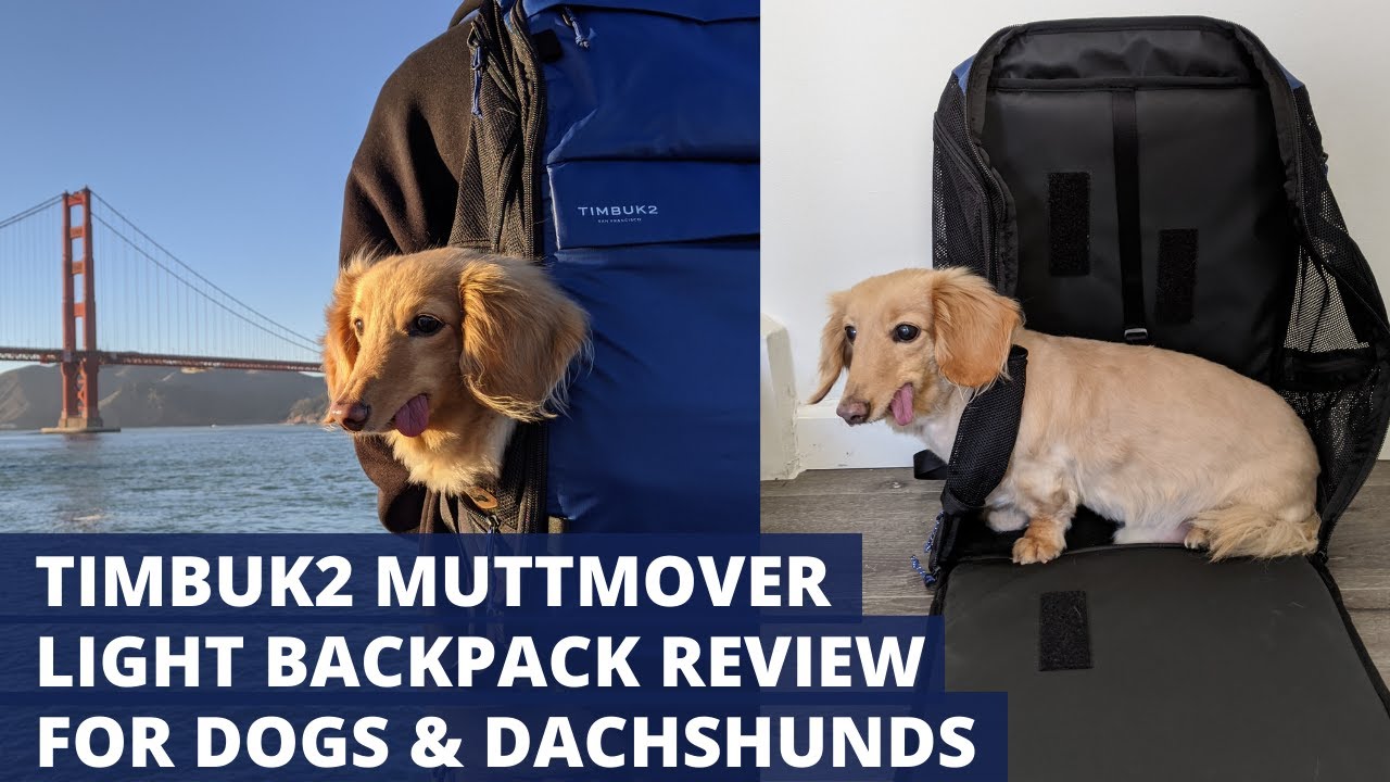 Timbuk2 Muttmover Light Backpack | Dachshund Backpack Review | Review for Dachshunds and Dogs