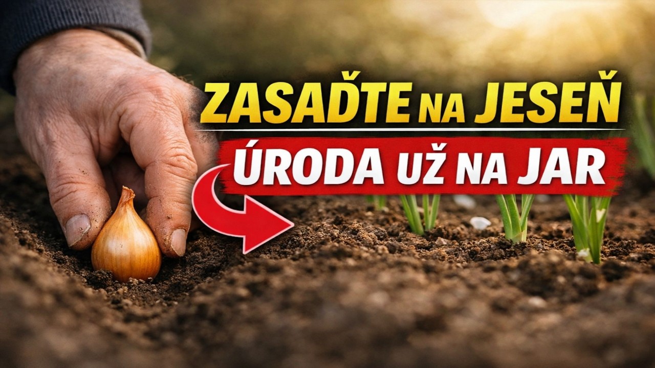 Zasaďte to už na jeseň a úrody sa dočkáte už na jar!